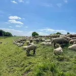 Daire Kleine Einraumwohnung Am Fleth Jork