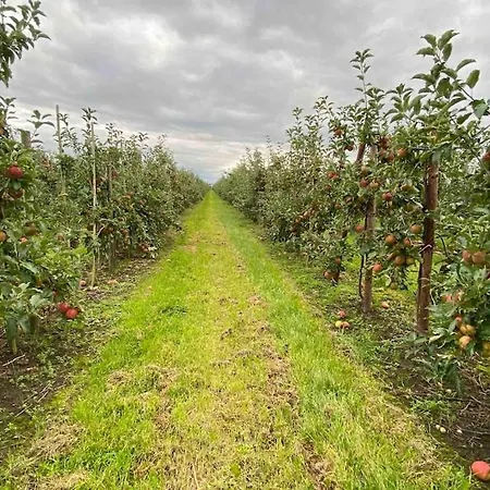 Kleine Einraumwohnung Am Fleth * Jork